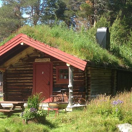Batsto Camping Elga Экстерьер фото