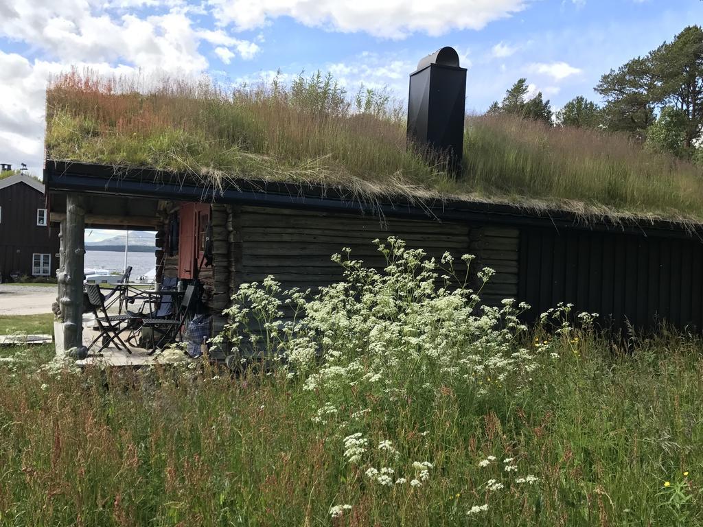 Batsto Camping Elga Экстерьер фото