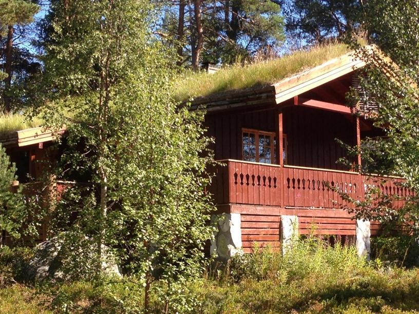 Batsto Camping Elga Экстерьер фото
