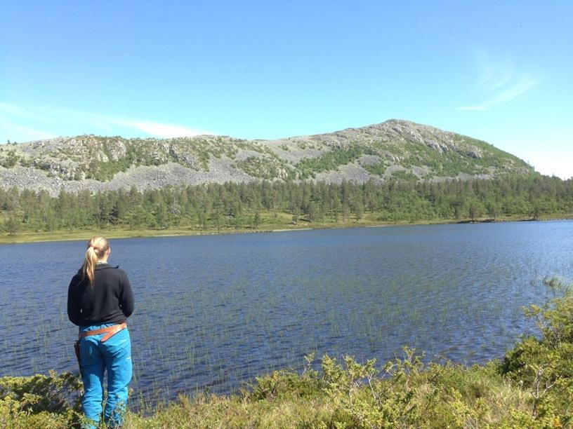 Batsto Camping Elga Экстерьер фото