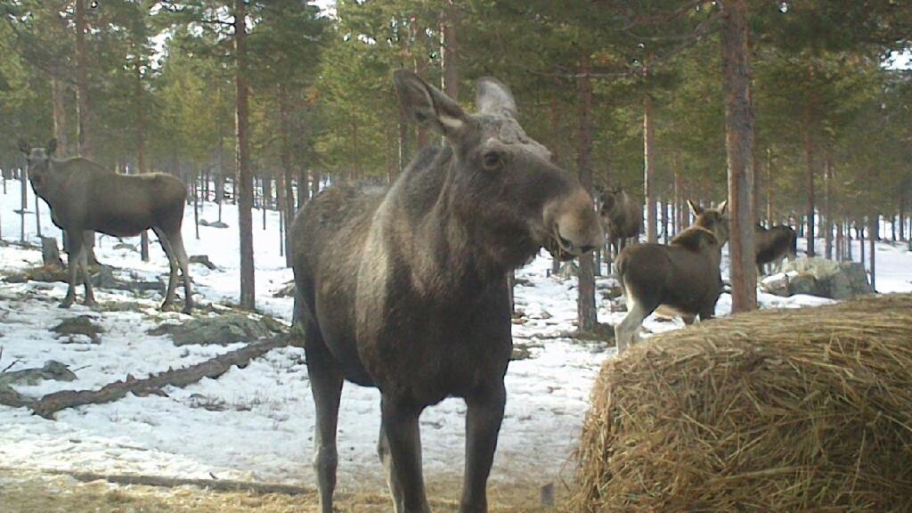Batsto Camping Elga Экстерьер фото